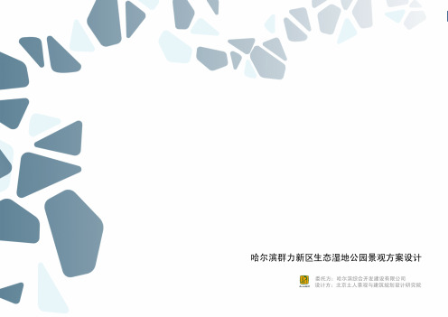 哈尔滨群力新区生态湿地公园景观方案设计(土人)