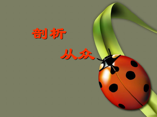 第六课：从众与自主