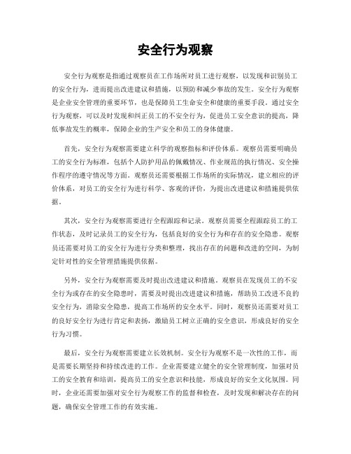 安全行为观察