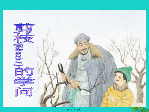 三年级语文下册 第三单元 9《剪枝的学问》教学课件小学三年级下册语文课件