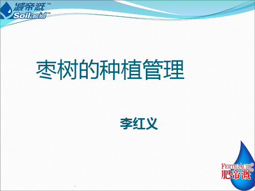枣树种植管理剖析PPT课件