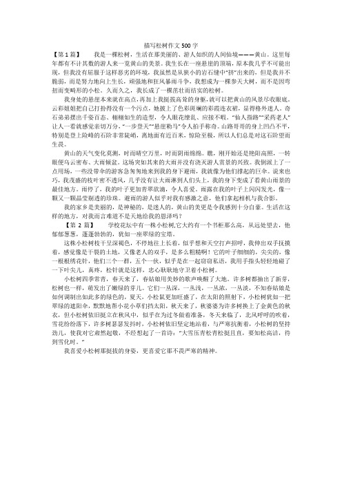 描写松树作文500字