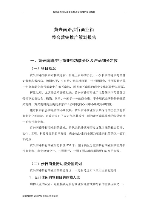 整合营销推广策划报告