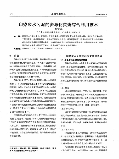 印染废水污泥的资源化焚烧综合利用技术