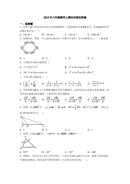 2019年八年级数学上期末试卷含答案