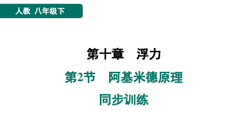 10.2阿基米德原理 同步训练   ---2023-2024学年人教版物理八年级下学期