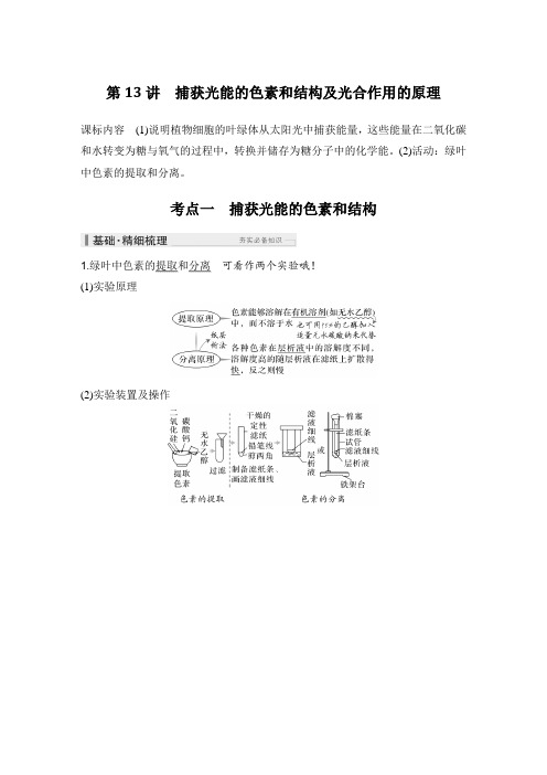 2025高考生物总复习捕获光能的色素和结构及光合作用的原理