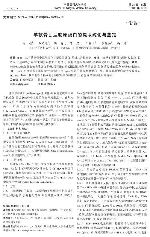 羊软骨Ⅱ型胶原蛋白的提取纯化与鉴定