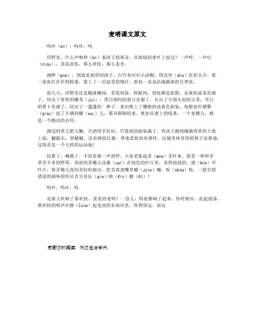 麦哨课文原文