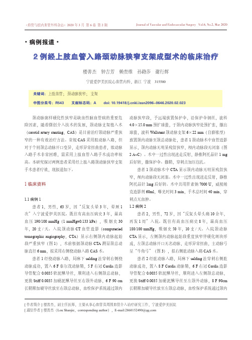 2例经上肢血管入路颈动脉狭窄支架成型术的临床治疗