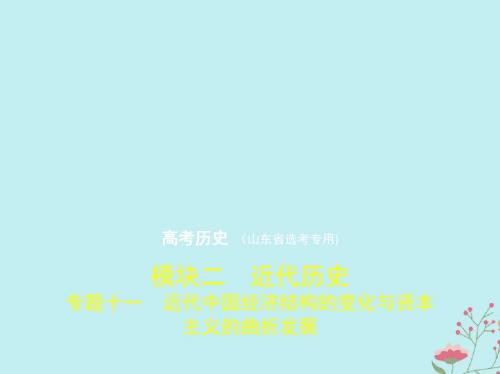 (山东专用)2020版高考历史一轮复习专题十一近代中国经济结构的变化与资本主义的曲折发展课件