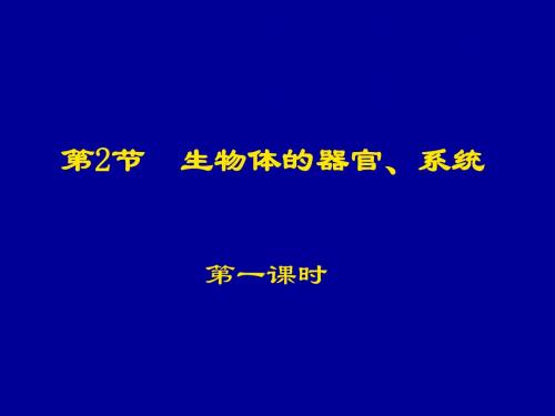 【初中生物】生物体的器官、系统PPT课件2