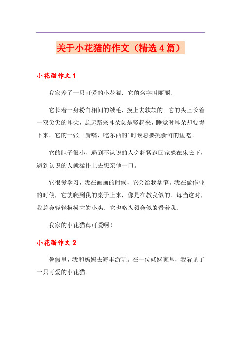 关于小花猫的作文(精选4篇)