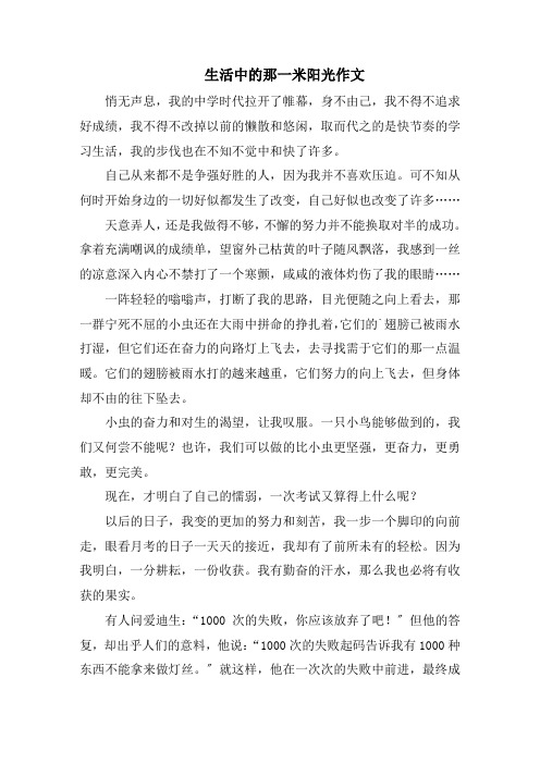 生活中的那一米阳光作文精选