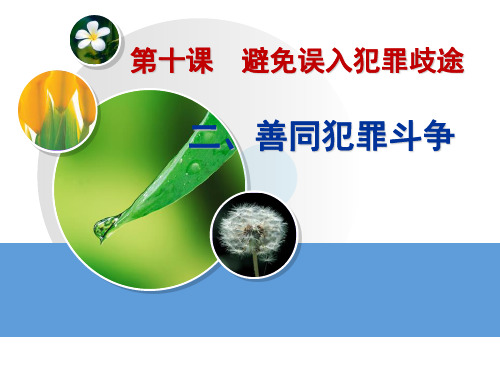 善同犯罪斗争