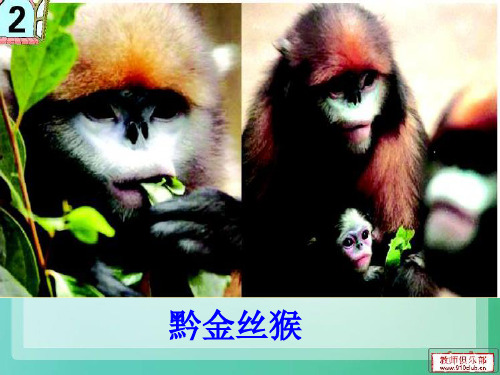 解简易方程 等式的性质