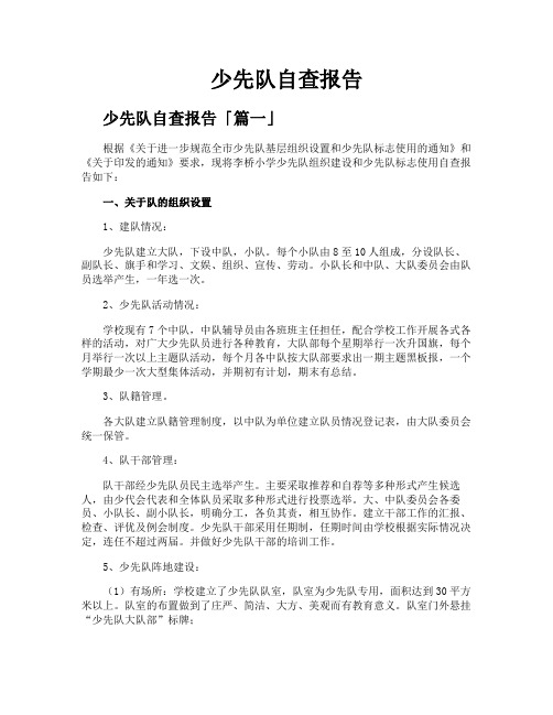 少先队自查报告