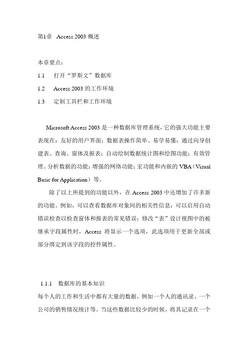 Access 2003概述