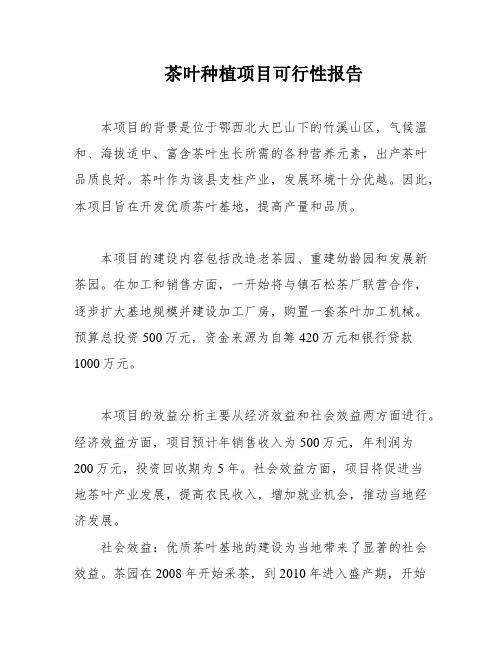 茶叶种植项目可行性报告