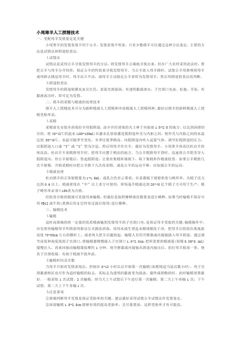 小尾寒羊人工授精技术