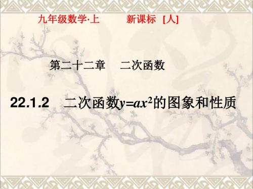 秋九年级数学上册22.1.2二次函数y=ax2的图象和性质课件(新版)新人教版