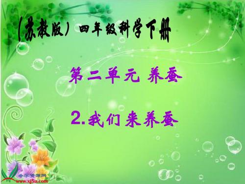 苏教版小学科学四年级下册《我们来养蚕》PPT课件