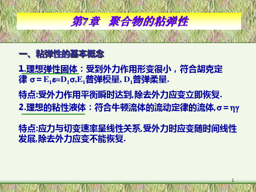chapter7粘弹性