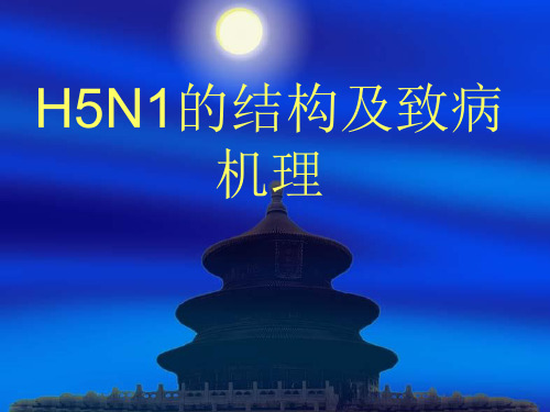 禽流感病毒的结构及致病机理