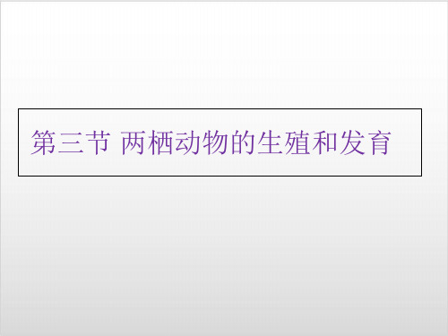 新人教版生物《两栖动物的生殖和发育》优秀PPT课件1