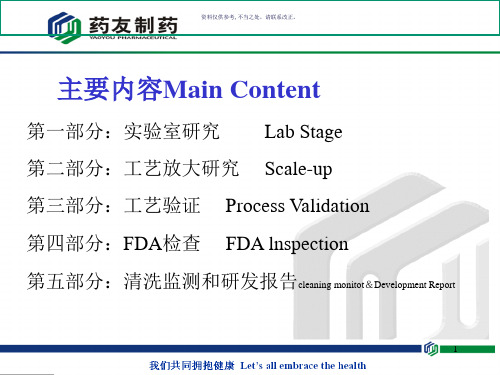 化学药品制剂制备工艺放大与验证研究