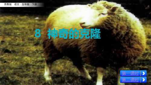(赛课课件)五年级下册语文《神奇的克隆》(共45张PPT)