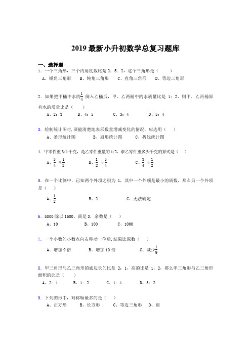 2019最新小升初数学总复习题库dan