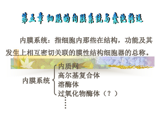 05+细胞的内膜系统与囊泡转运