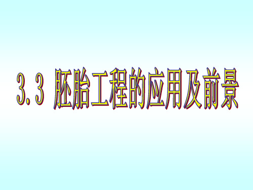 胚胎分割