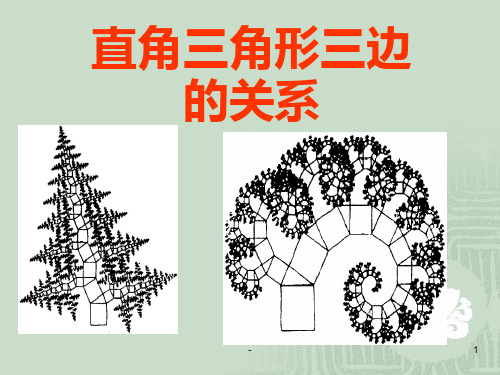 直角三角形的三边关系PPT课件