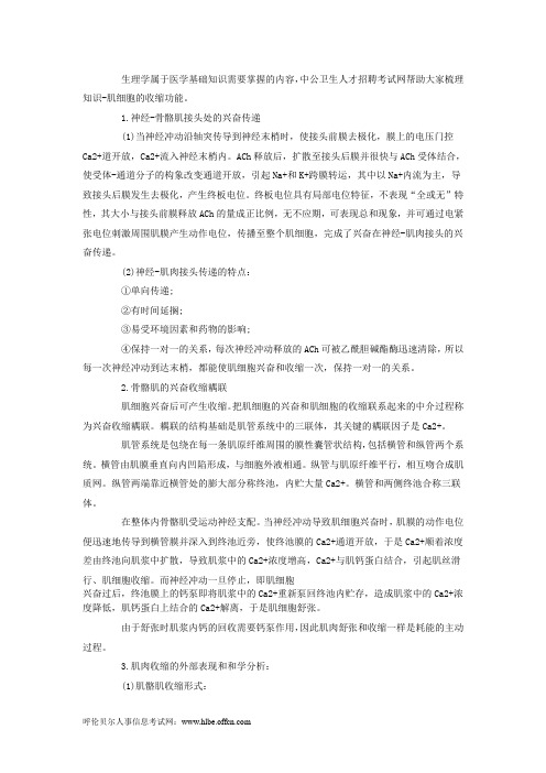 医学基础知识重要考点：肌细胞的收缩功能-生理学