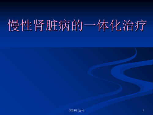慢性肾脏病的一体化治疗ppt课件
