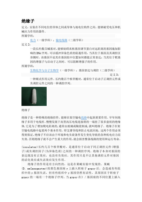 绝缘子