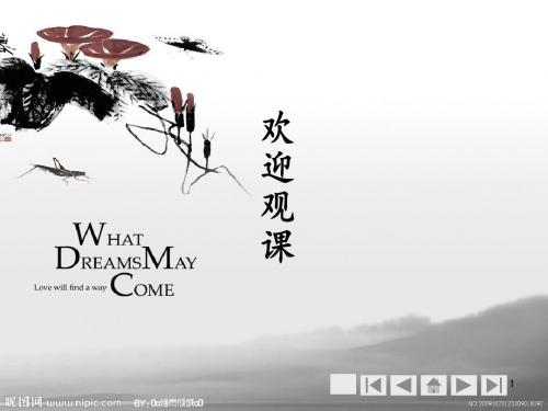 昆虫纲