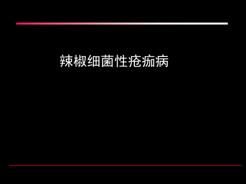 辣椒疮痂病
