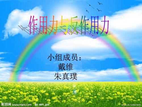 科技实践活动