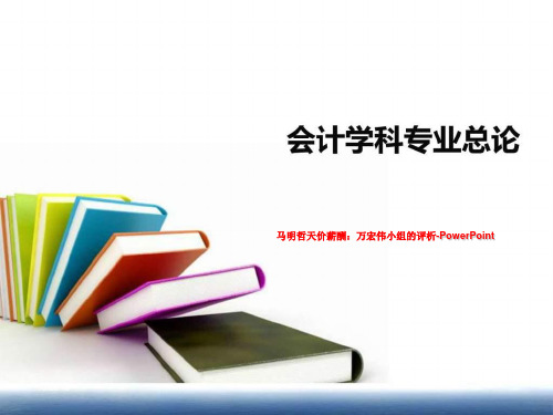 马明哲天价薪酬：万宏伟小组的评析-PowerPoint