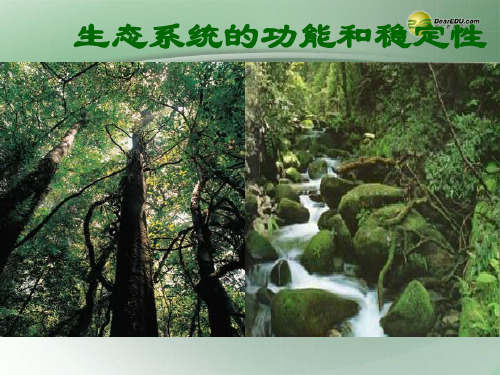 湖南省师大附中高中生物 生态系统功能和稳定性课件 新人教版必修3