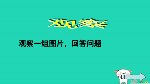 新人教版八年级生物下册第七单元第二章-1基因控制生物的性状.ppt课件