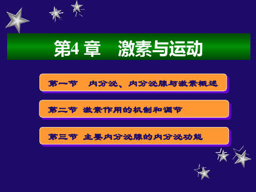 第4章激素与运动_运动生理学