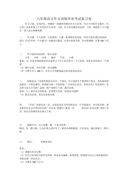 六年级语文作文训练毕业考试复习卷