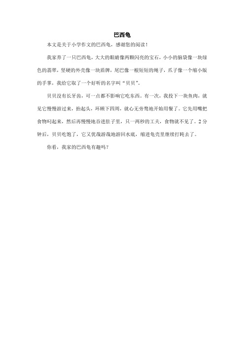 巴西龟_小学作文_6