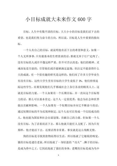 小目标成就大未来 作文 600字