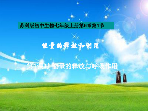 能量的释放和利用PPT教学课件