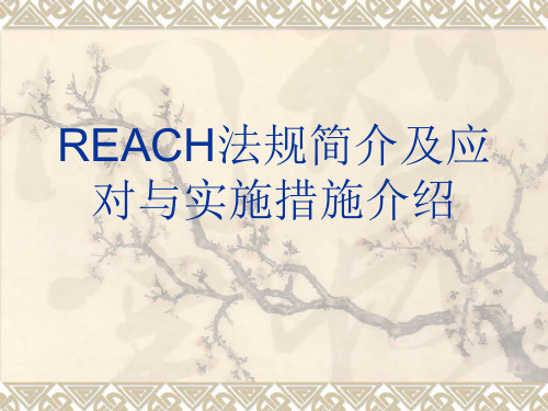 REACH法规简介及应对